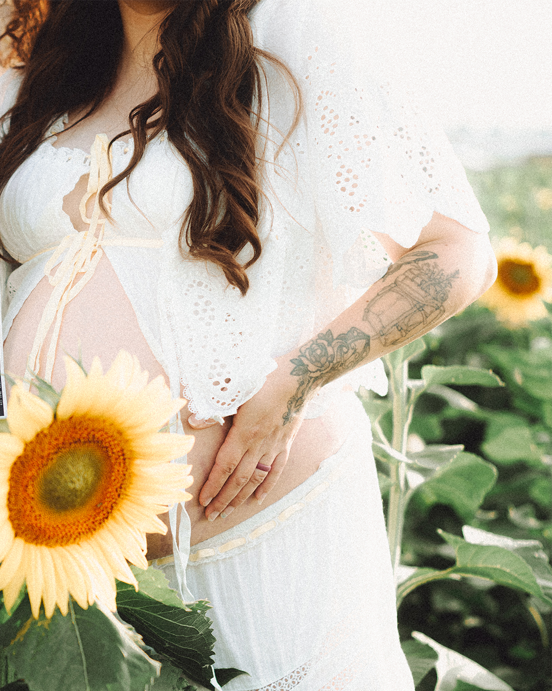 Lovestory Pregnancy Announcement Among the Sunflowers of the Wooden Shoe Tulip Farm — photograph 17 of 39